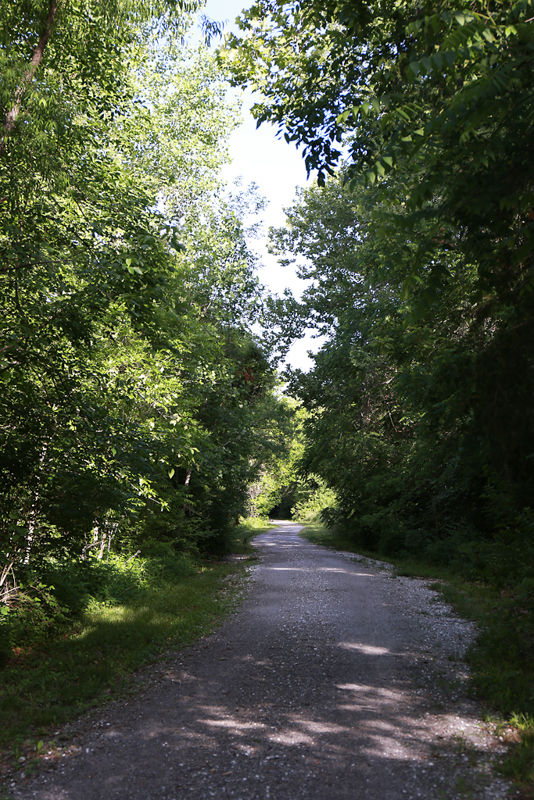 Bear Creek Vertical